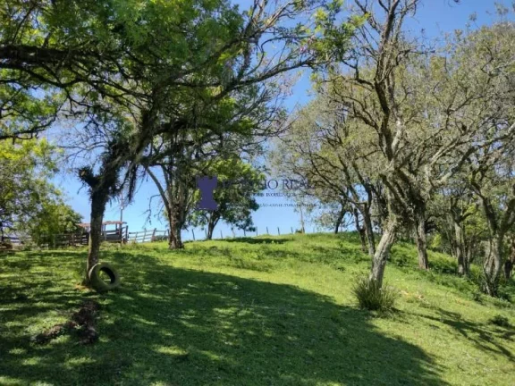 Imagem CHÁCARA COM 143.897M² NA REGIÃO DE BALSA NOVA