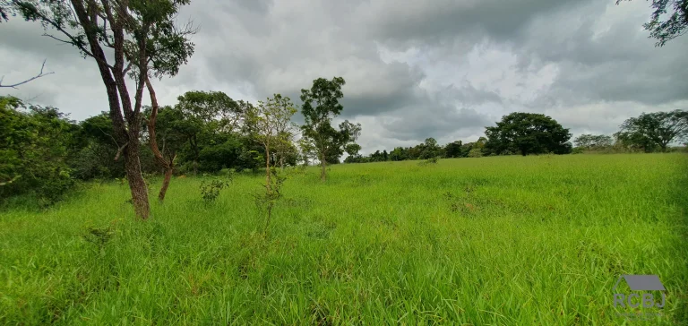 Imagem AREA RURAL em ESMERALDAS - MG, ANDIROBA