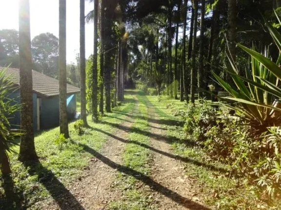 Imagem Sítio Sereno em Piracaia 35 Mil m² de Pura Natureza com Riacho e Cachoeira