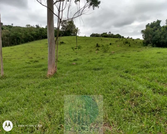 Imagem Vende de Sítio em Jacuí Sul de Minas Gerais, 9 alqueires sendo 7 alqueires para grãos.