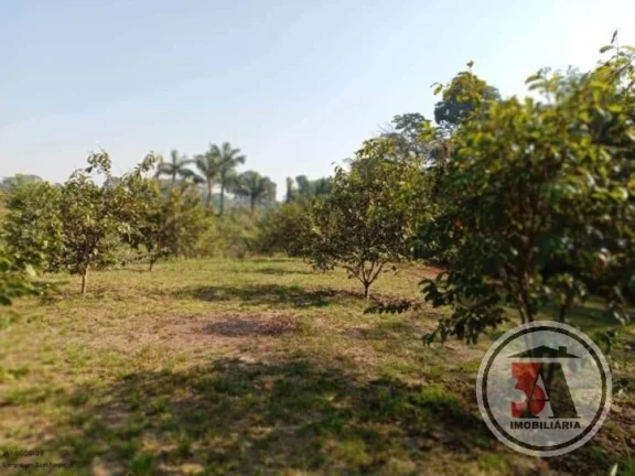 Imagem Chácara 2,5 hectares no Areia Branca