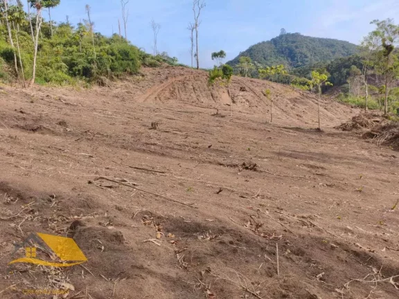 Imagem Vendo Àrea Rural a partir de 10 mil mts², Boa Topografia, Com RGI