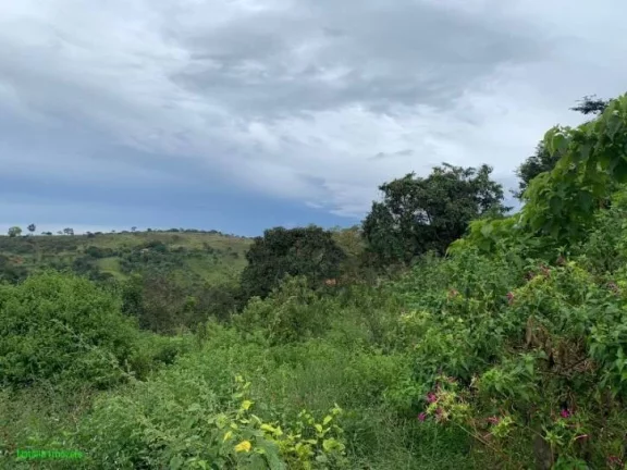 Imagem LOTE BARATO Á VENDA NO BAIRRO SATÉLITE!