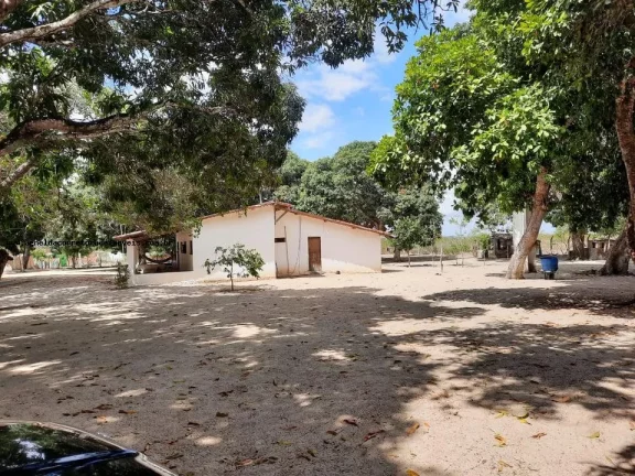 Imagem Granja para Venda em Macaíba, Centro, 2 dormitórios, 3 banheiros, 9 vagas