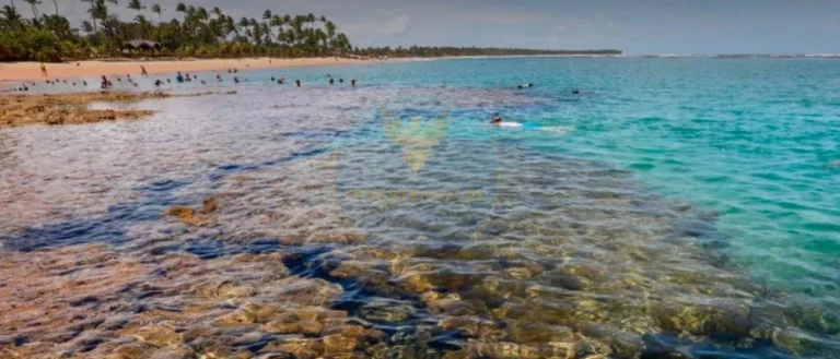 Imagem Terreno 690 metros em Barra Grande