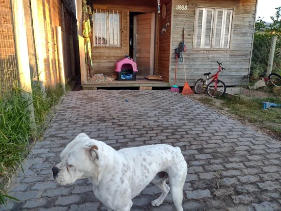 Foto do imóvel: Casa 2 Dormitórios - Bairro Capão Novo