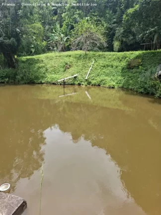 Imagem Sítio para Venda em Juquitiba, Juquitiba, 4 dormitórios, 1 suíte, 2 banheiros, 4 vagas