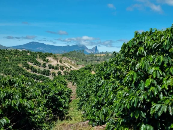 Imagem FAZENDA RURAL em DOMINGOS MARTINS - ES, DOMINGOS MARTINS