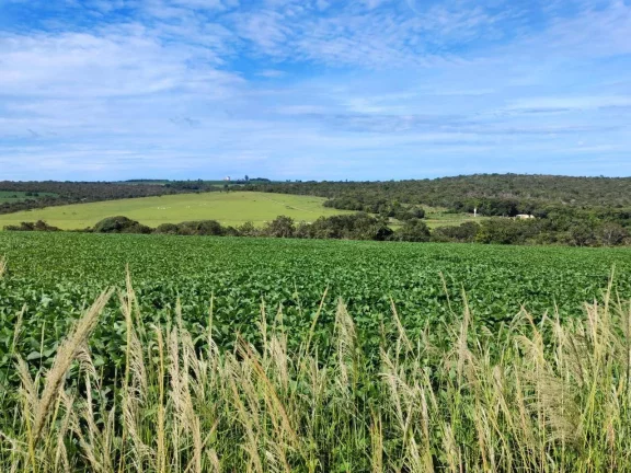 Imagem Fazenda à Venda em Santa Cruz de Goiás – Dupla Aptidão!