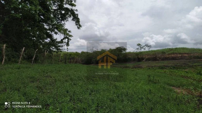 Imagem Fazenda com terreno de 14.888 hectares à venda em Paudalho, Pernambuco