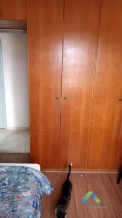 Imagem Apartamento com 3 dormitórios à venda, 69 m² por R$ 447.000,00 - Vila Santa Catarina - São Paulo/SP