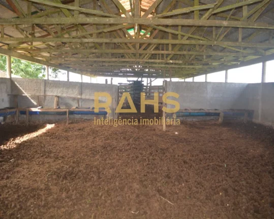 Imagem Fazenda mais linda de Garuva, é 100% plana, pode-se ver o gado de ponta a ponta da fazenda, tendo u...