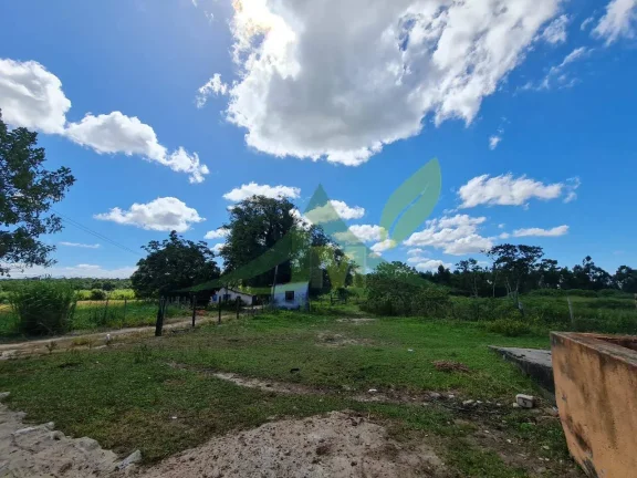 Imagem FAZENDA PEROBAS - OPORTUNIDADE ÚNICA DE INVESTIMENTO EM ARARUAMA/RJ