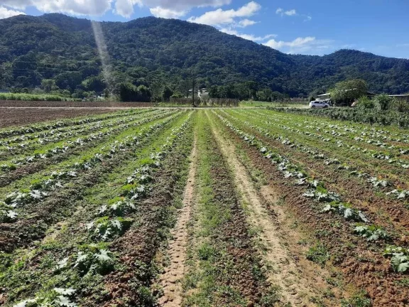 Imagem Terreno à Venda, Plano, Nível da Rua, com 11.089 m2. Sul do Rio, Santo Amaro da Imperatriz, SC