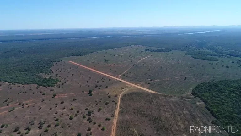 Imagem Fazenda à Venda, 46.464.000 m² em Zona Rural - Peixe