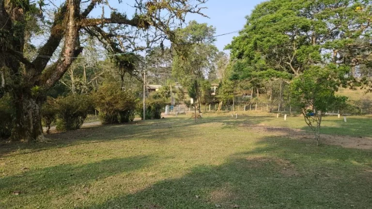 Imagem Chácara com 4 dormitórios à venda, 40000 m² por R$ 1.250.000,00 - Quinta Divisão - Suzano/SP
