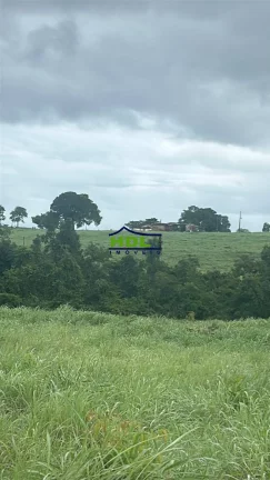 Imagem Fazenda 226 Alqs Dupla aptidão Natividade/TO