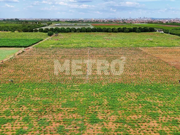 Imagem Fazenda com 116ha, Casa, Galpão, 25ha plantados e mais 32 prontos para plantar