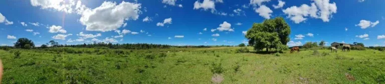 Imagem Fazenda à Venda, 251 m²