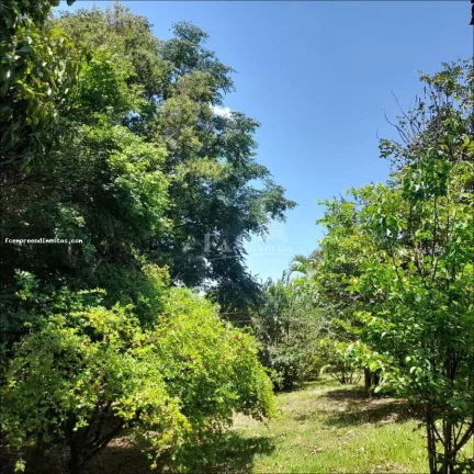 Imagem Chácara Condomínio para Venda em Limeira, Loiolas, 6 dormitórios, 1 suíte, 4 banheiros, 3 vagas