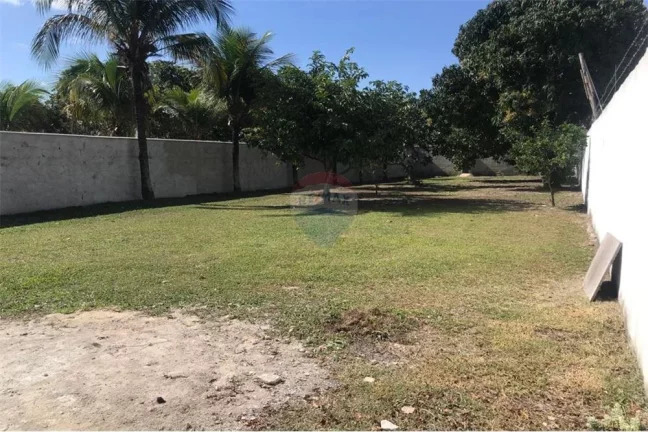 Imagem Terreno 480m, plano e murado, Jardim Atlântico Leste, Itaipuaçu.