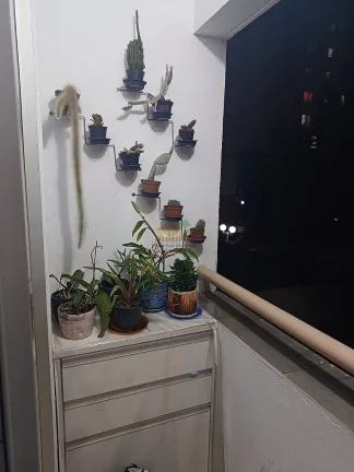 Imagem Apartamento Padrão