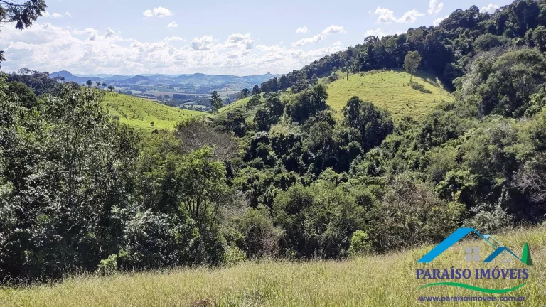 Imagem Paraíso Particular: 14,32 ha, com Vista Panorâmica e Natureza Preservada!