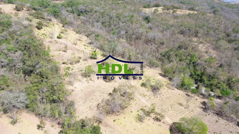 Imagem Fazenda 19 Alqs para Cria em Hidrolândia/GO