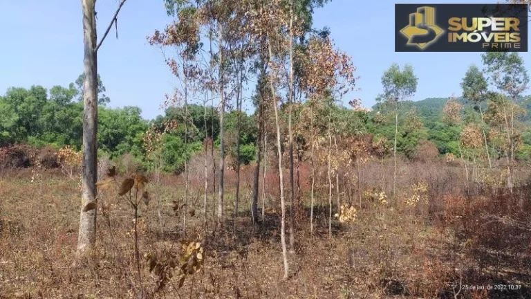 Imagem Fazenda para Venda em Centro Canguçu-RS - 2055