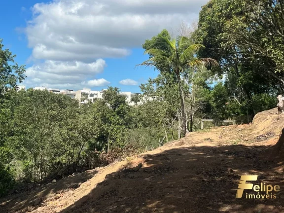 Imagem TERRENO EM LOCAL ESTRATÉGICO NA SERRA / ES