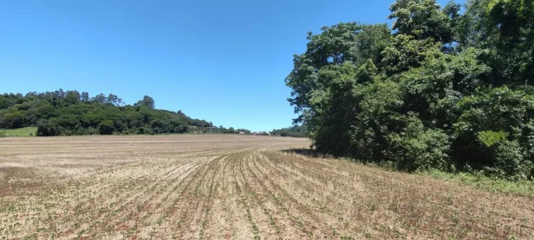 Foto do imóvel: Chácara à venda em Cascavel - São Salvador - Lavoura e Rio