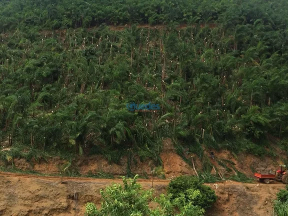 Imagem Fazenda em Juquiá - SP: 4 Suítes, 363.000m² por R$ 1,1M à Venda