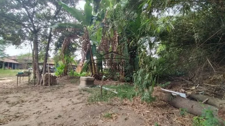 Imagem Terreno à venda no bairro Centro - Guaratinguetá/SP