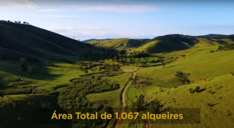 Imagem Fazenda de 1067 alqueires à venda em Santa Branca com 180 nascentes