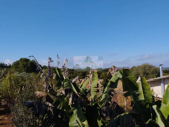 Imagem SÃO MIGUEL ARCANJO