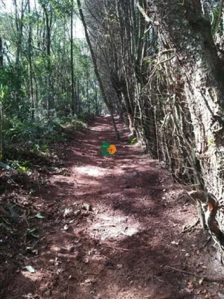 Imagem Terreno para Venda em São Roque, Mombaça