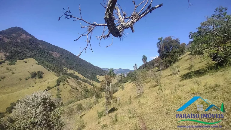 Imagem Paraíso Ecológico na Mantiqueira: 44 ha com vista espetacular e nascentes!