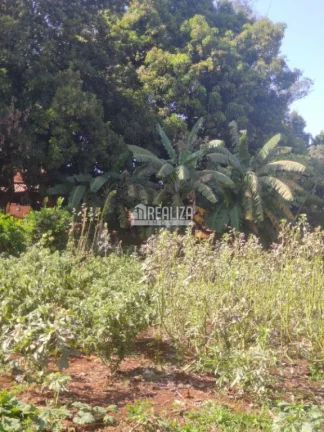 Imagem Chácara à venda próximo à Delta: seu refúgio rural na cidade