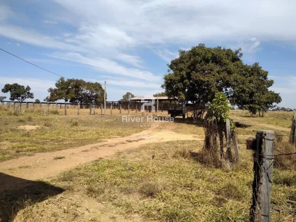 Imagem Fazenda à venda finalidade pecuaria formada, localizada na Região do Rio Manso , Chapada dos Guimarães - MT
