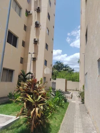 Imagem Apartamento pronto para morar com 3 dormitórios à venda, 59,95m² por R$ 210.000 - Dirceu I - Teresina/PI
