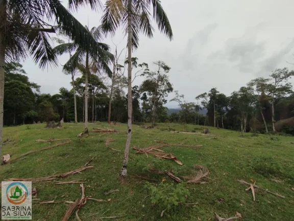 Imagem Sítio - Belchior Baixo - Gaspar