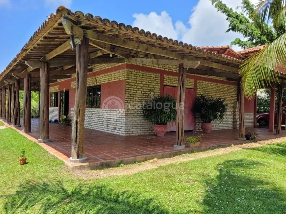 Imagem Sitio em Pium com 3 Ha
