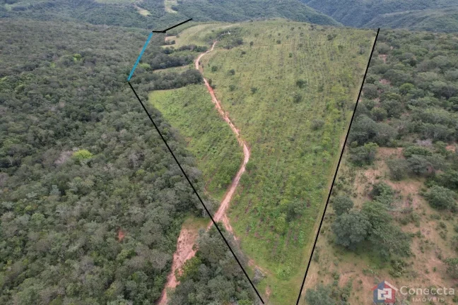 Imagem Fazenda em Centro, Presidente Olegário/MG