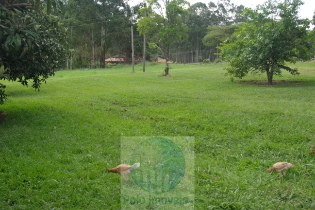 Imagem Fazenda 54 alqueires vende, casa, água, energia, plantação de café em São Sebastião do Paraíso - Minas Gerais