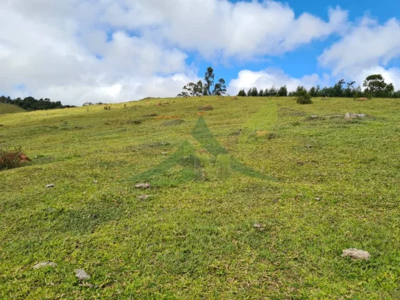 Imagem Lindo Sítio à Venda e Piracaia 20Alq
