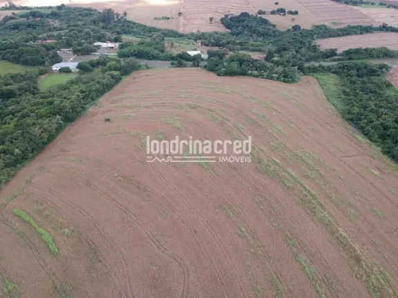 Imagem Terreno à venda Jardim Alvorada, Maringá - PR