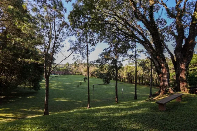 Imagem SITIO ALTO PADRÃO PARA VENDA NA ABADIA - LOUVEIRA SP