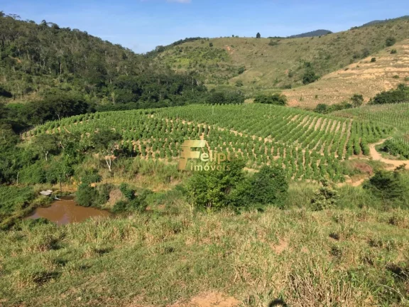 Imagem Fazenda de aproximadamente 50 alqueires.