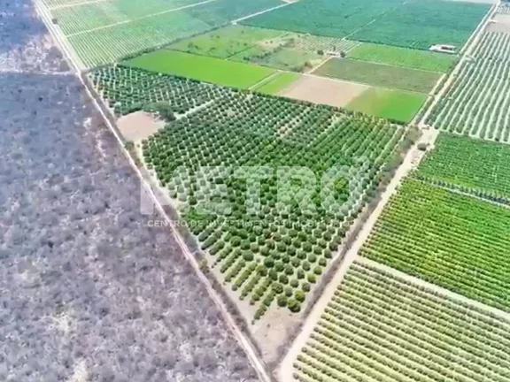 Imagem Fazenda à venda com 12 hectares de manga em produção, CASA NOVA - BA