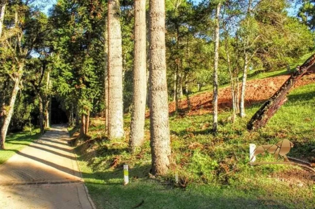 Imagem Terrenos à venda Alto Capivari - Reserva Figueiredo